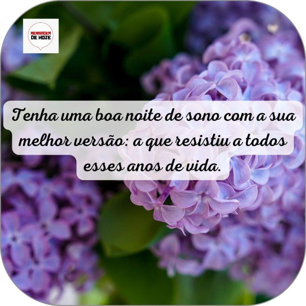 Boa Noite 12 de Junho de 2022 7