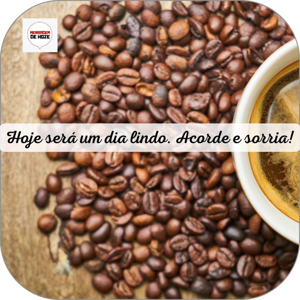 Bom Dia 11 de Junho de 2022 11