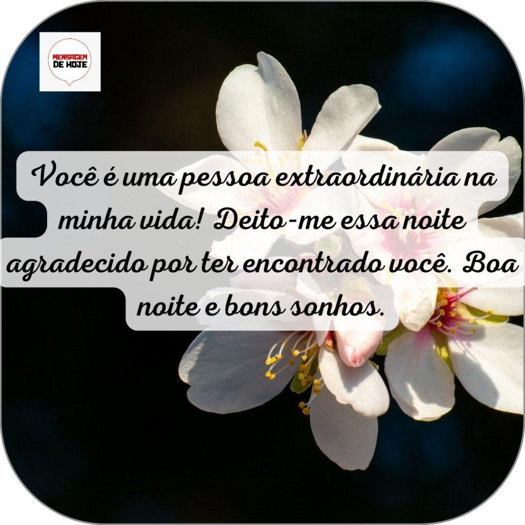 Boa Noite 12 de Junho de 2022 11