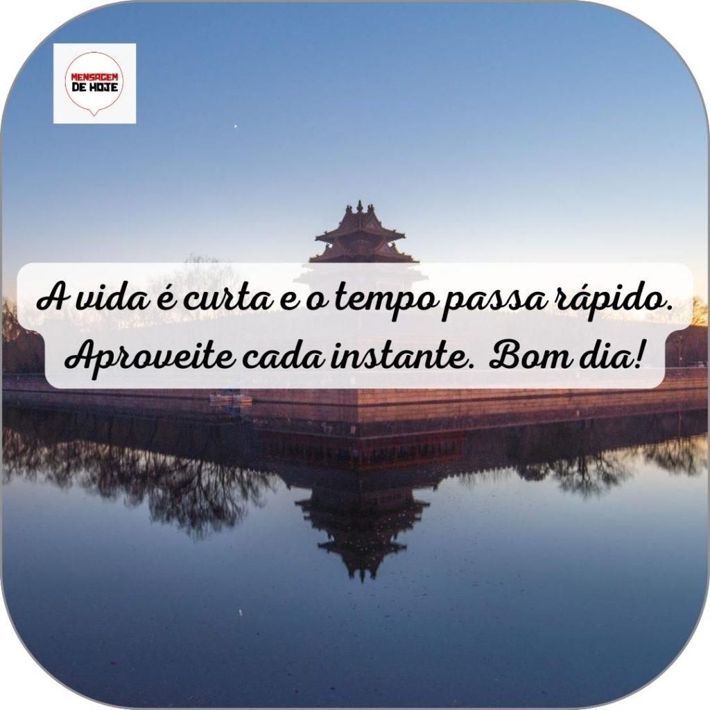 Bom Dia 11 de Junho de 2022 13