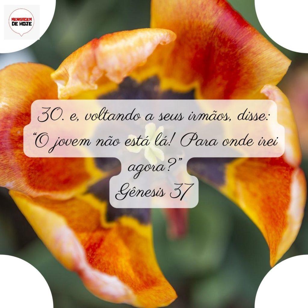 Salmos 21 de Junho de 2022 19