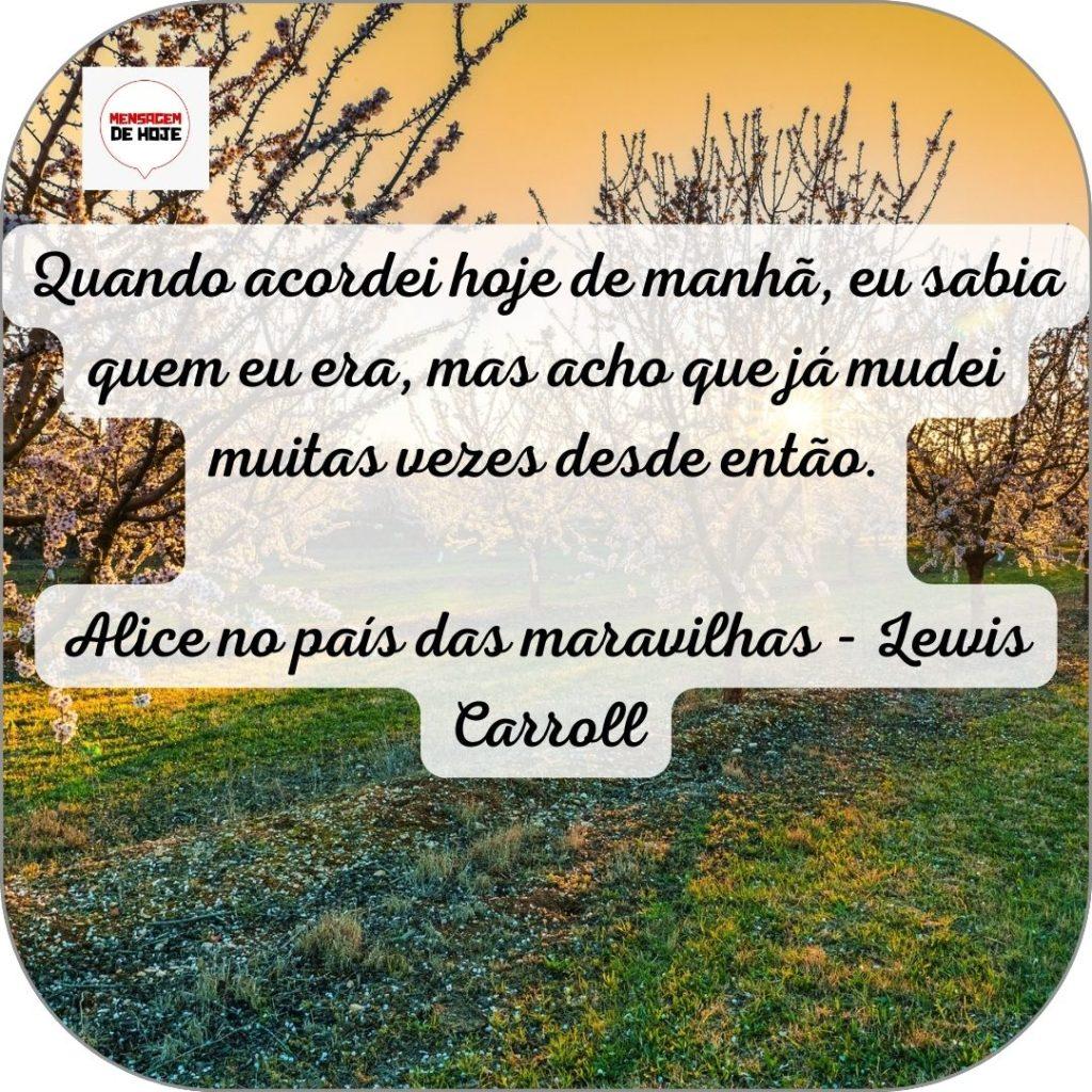 Bom Dia 11 de Junho de 2022 17