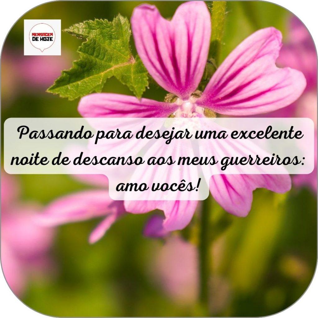 Boa Noite 12 de Junho de 2022 19