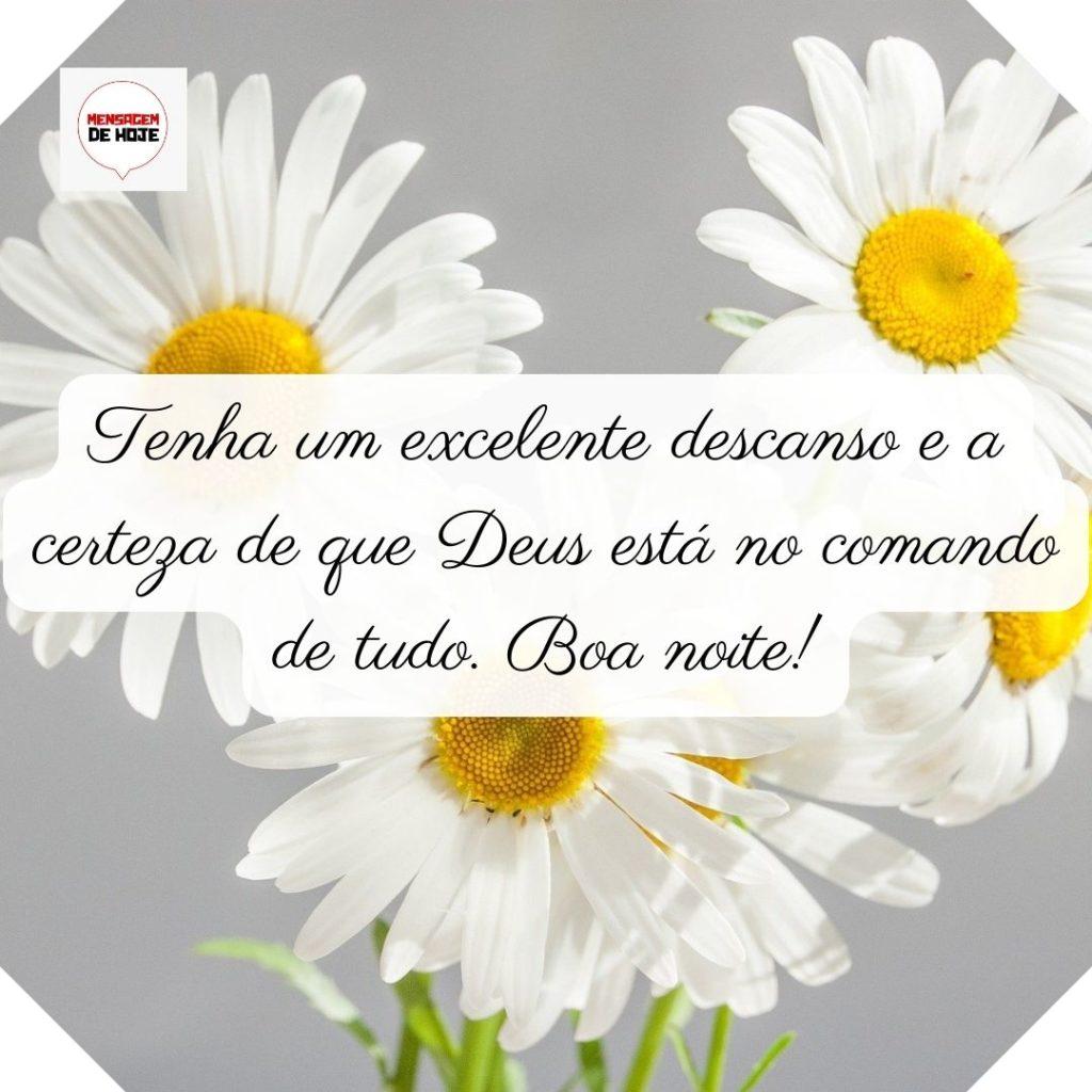 Boa Noite 24 de Junho de 2022 7