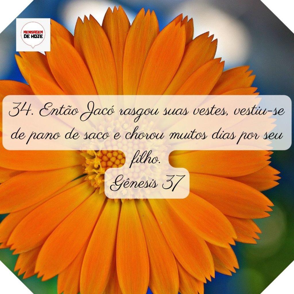 Salmos 22 de Junho de 2022 9