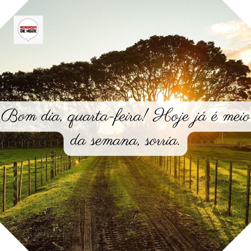 Bom Dia 20 de Junho de 2022 5