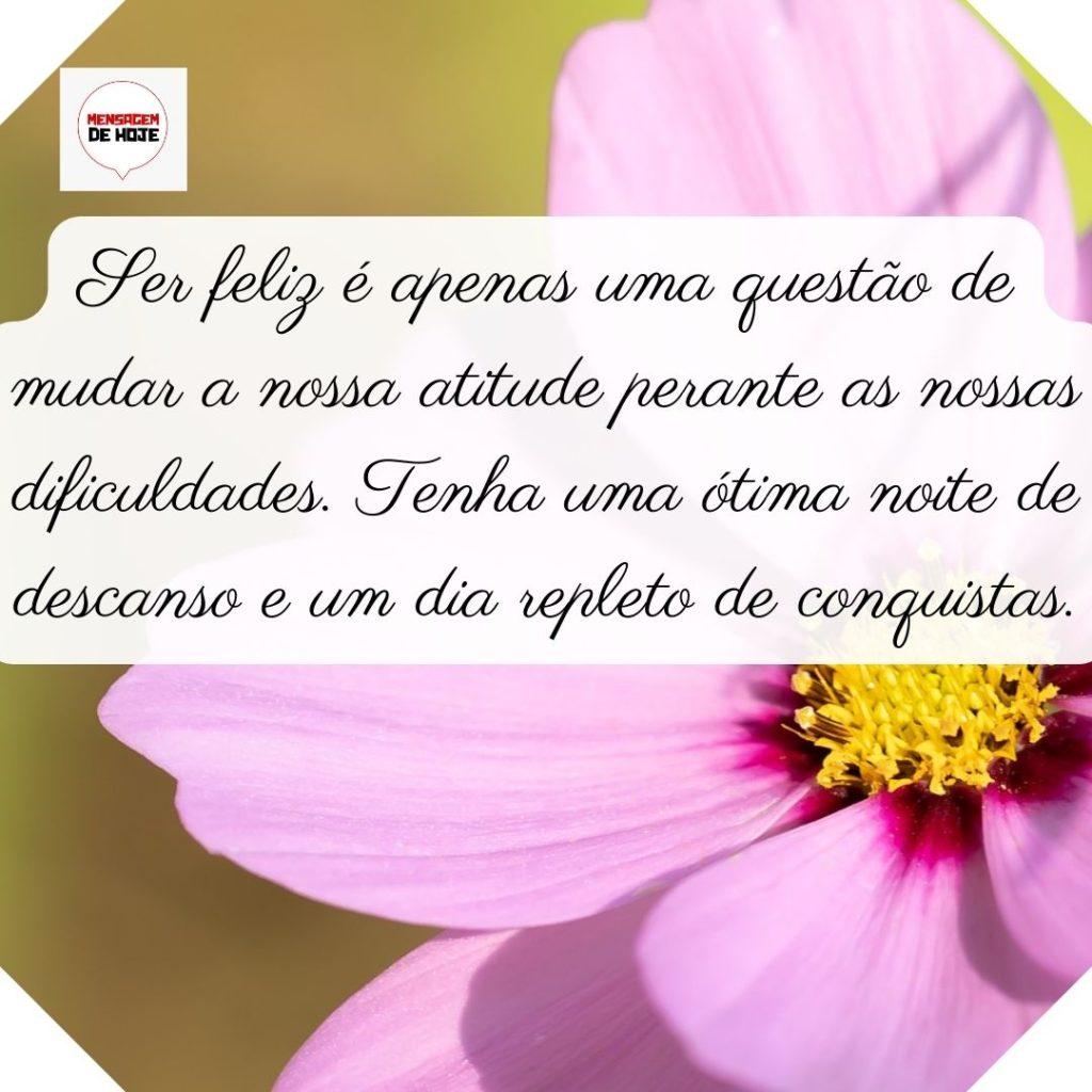 Boa Noite 24 de Junho de 2022 15