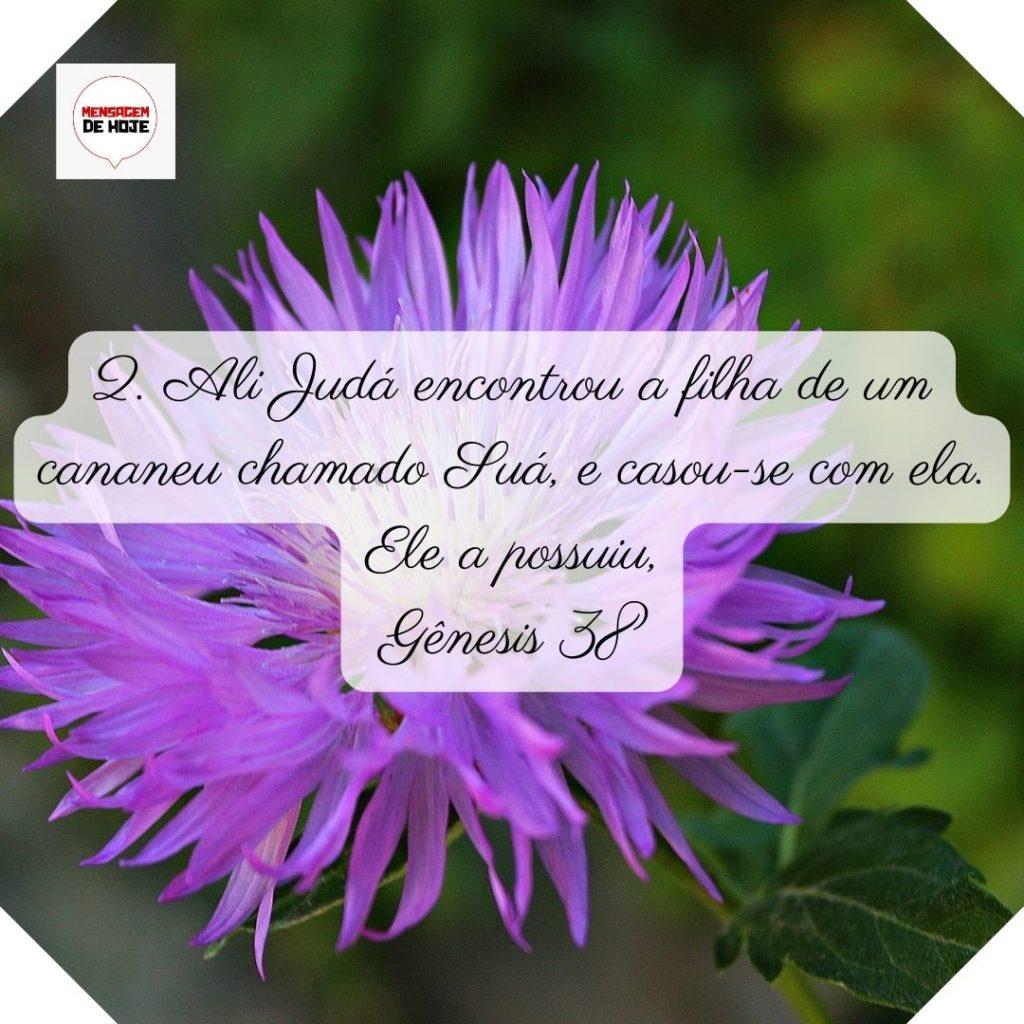 Salmos 22 de Junho de 2022 17