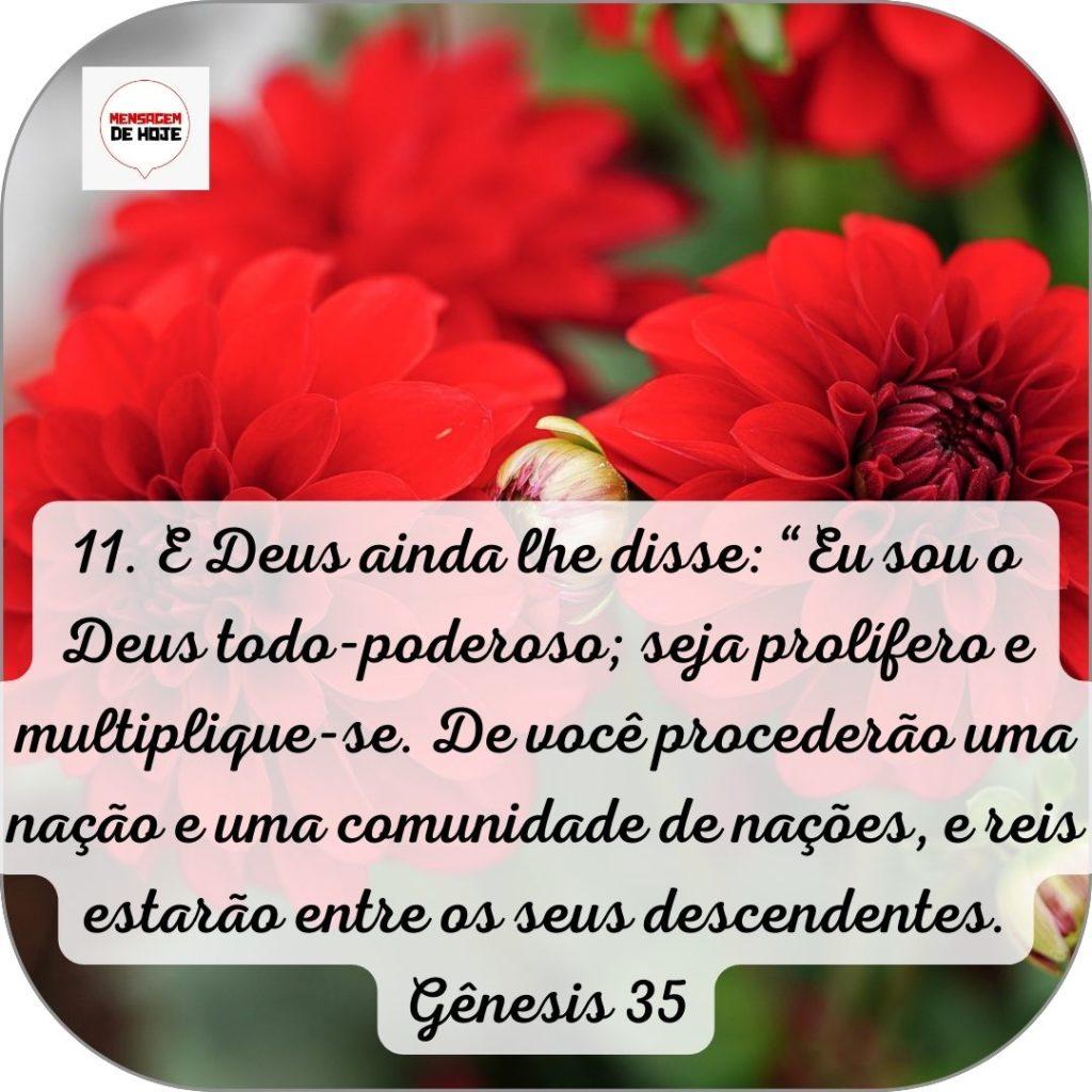 Salmos 12 de Junho de 2022 13