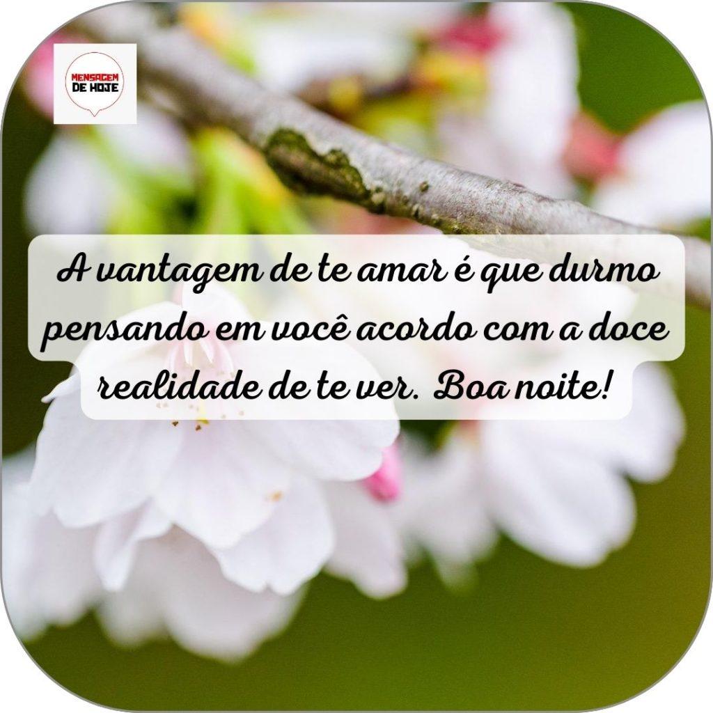 Boa Noite 13 de Junho de 2022 15