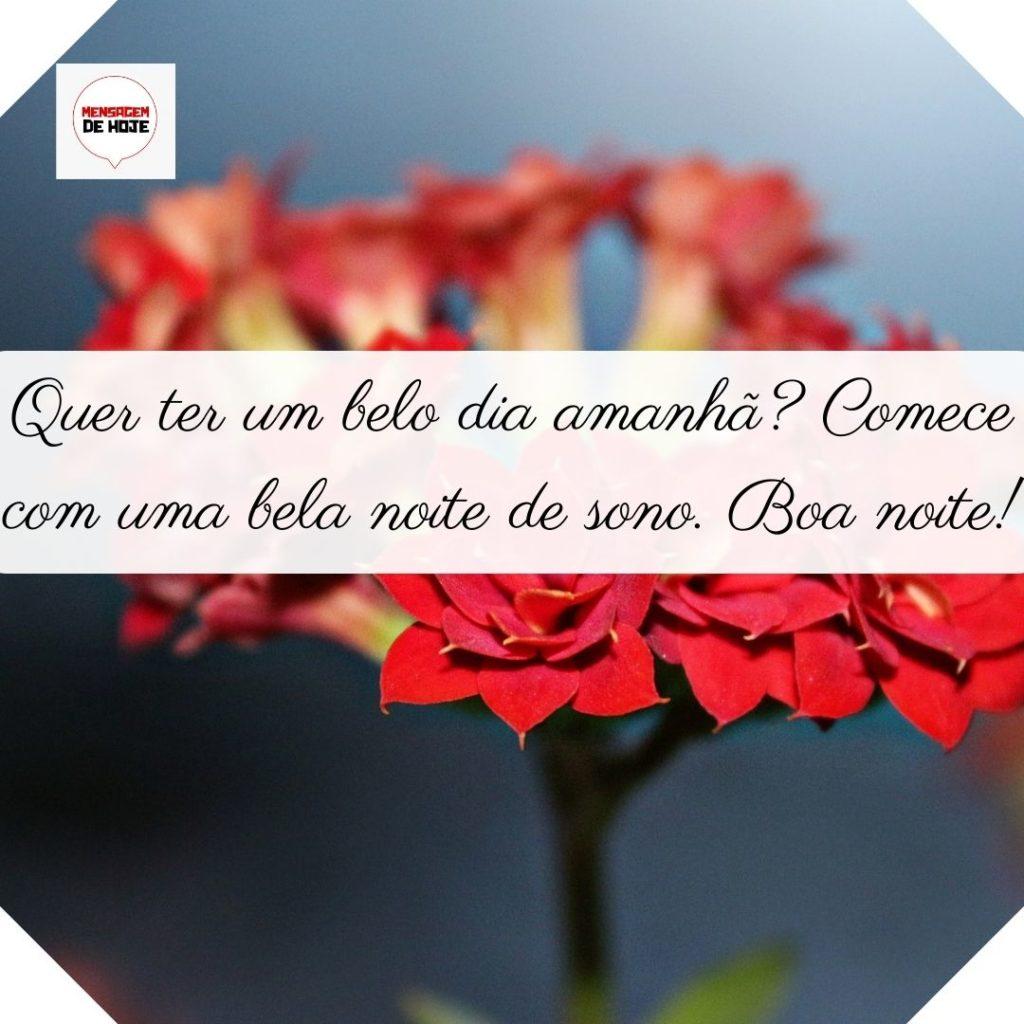 Boa Noite 24 de Junho de 2022 1