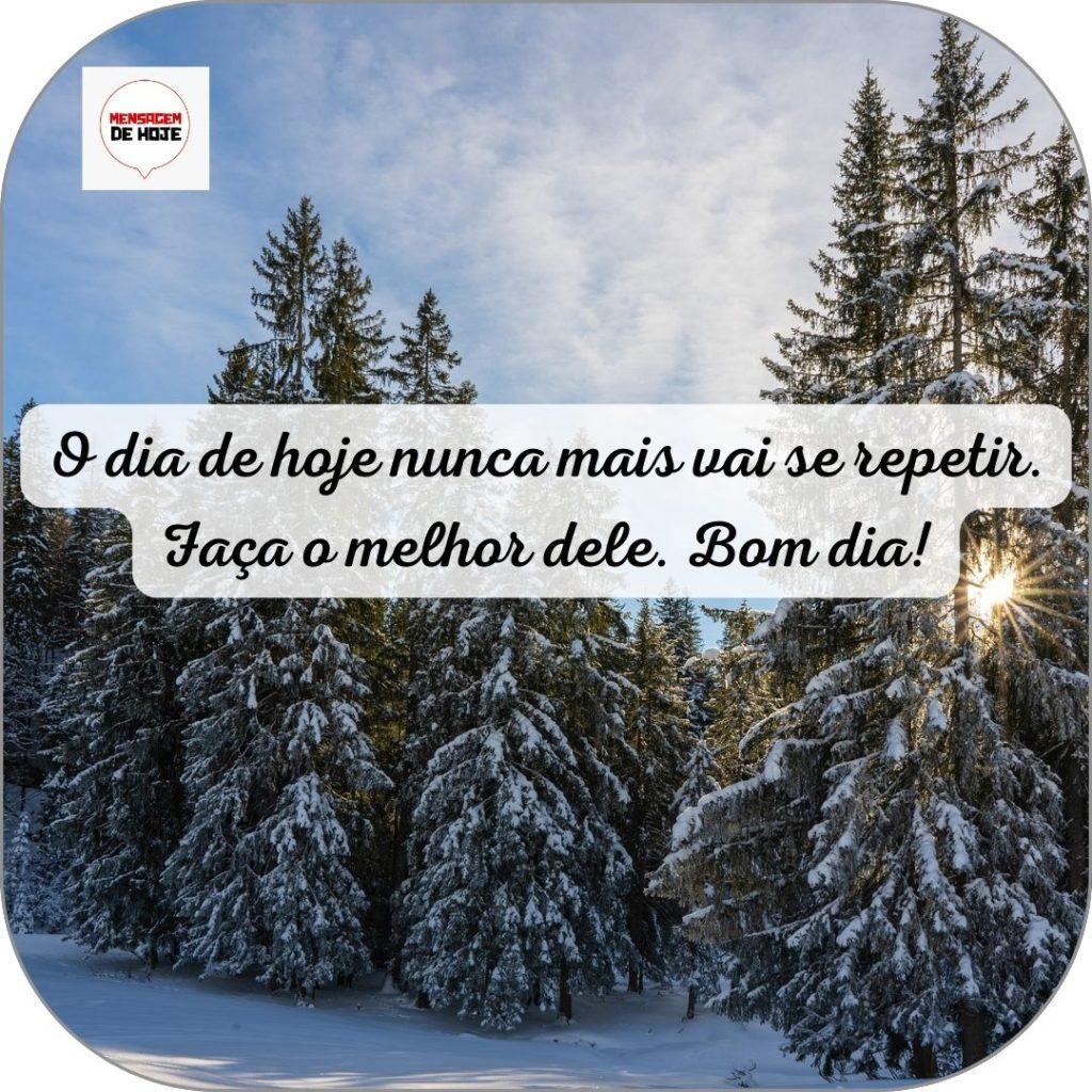 Bom Dia 12 de Junho de 2022 17