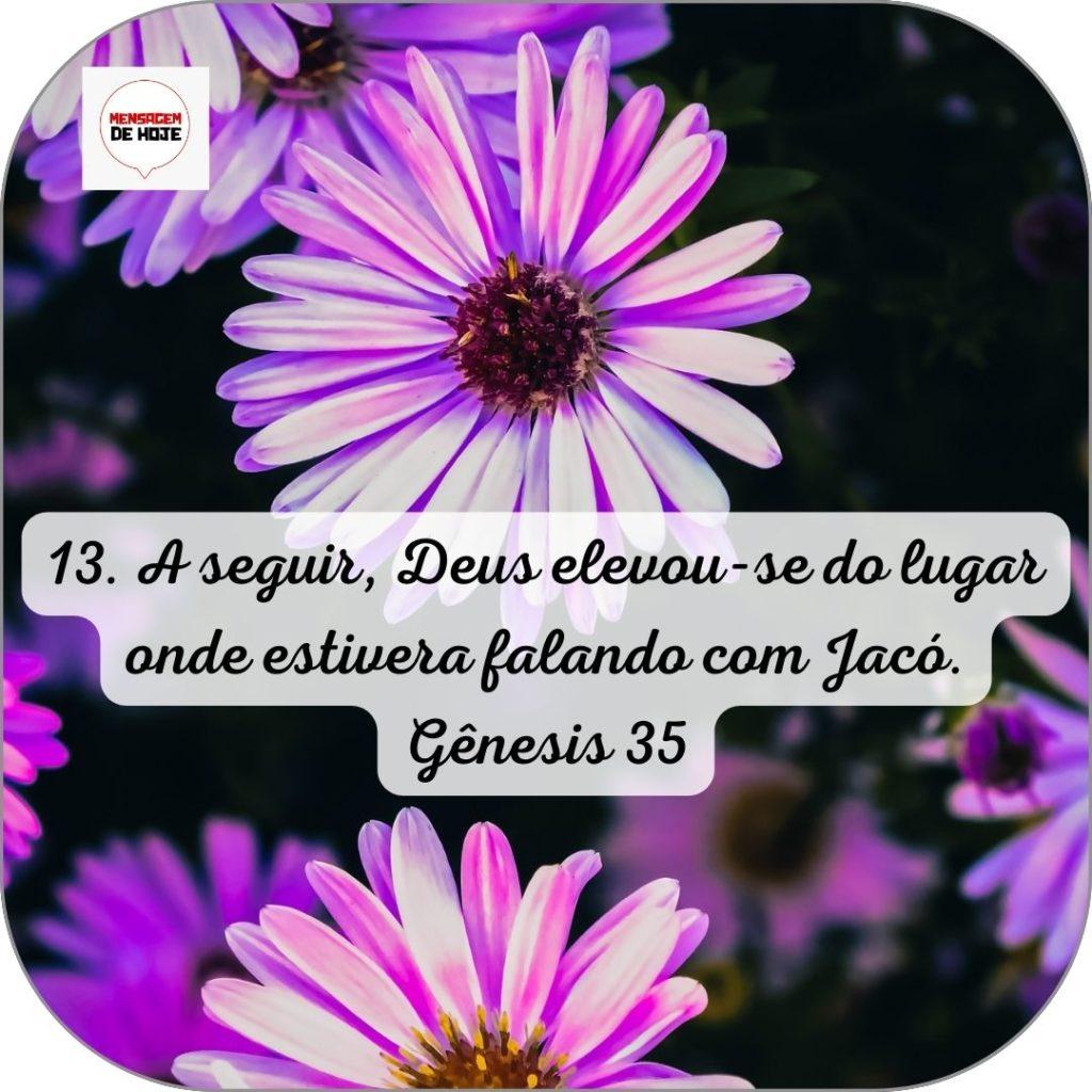 Salmos 12 de Junho de 2022 17