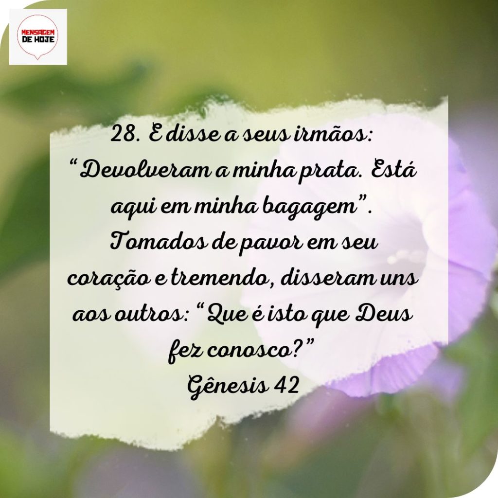 Salmos 05 de Julho de 2022 9
