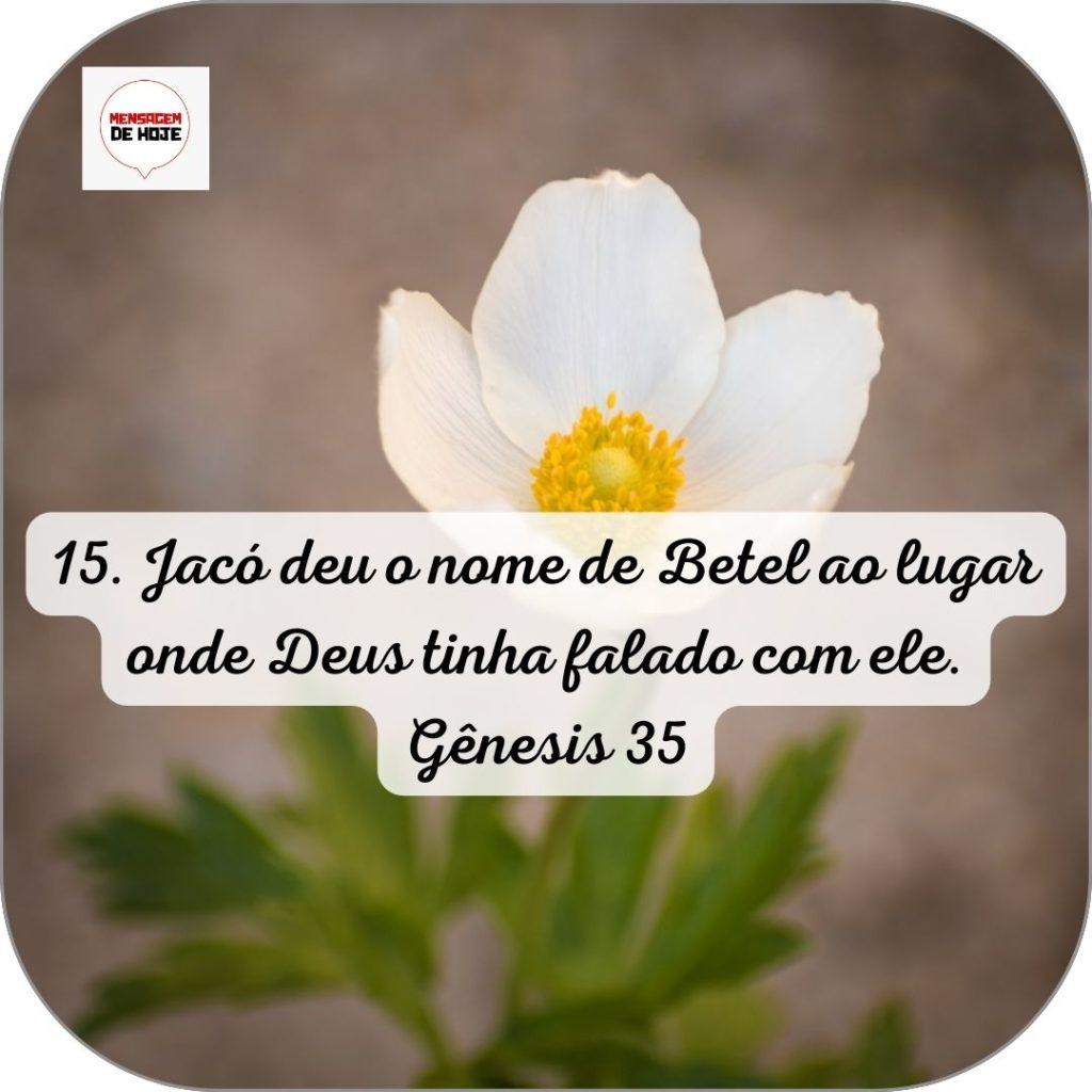 Salmos 13 de Junho de 2022 1