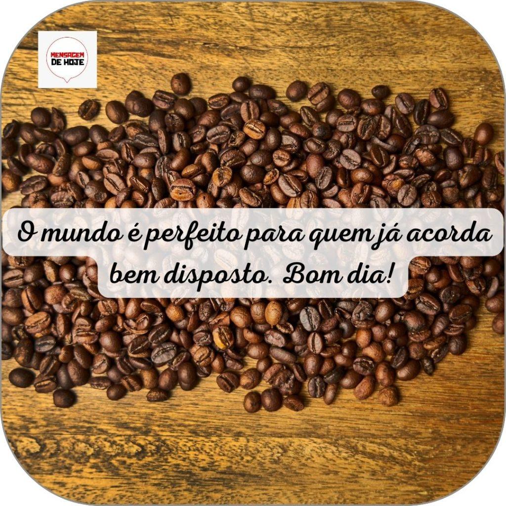Bom Dia 13 de Junho de 2022 3