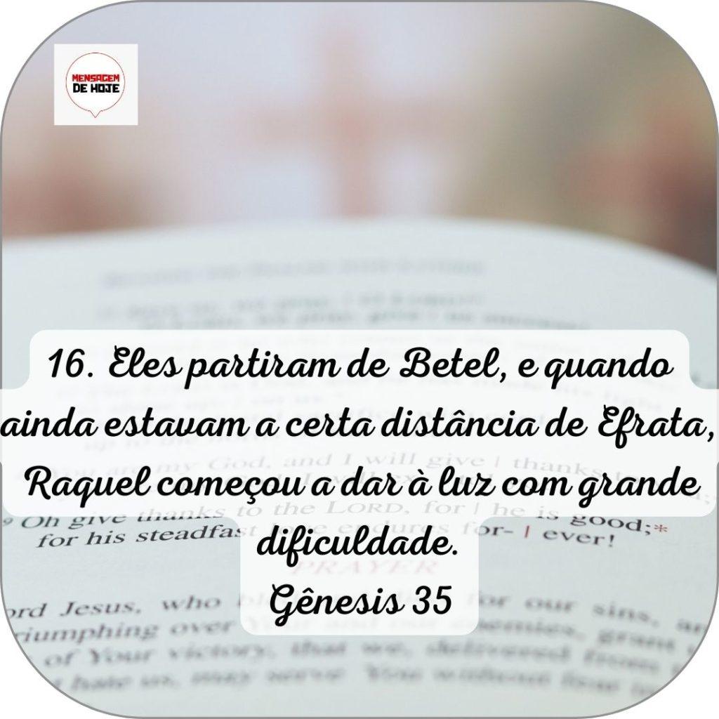Salmos 13 de Junho de 2022 3