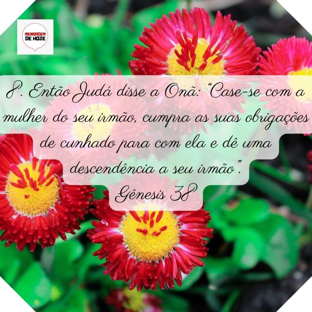 Salmos 23 de Junho de 2022 9