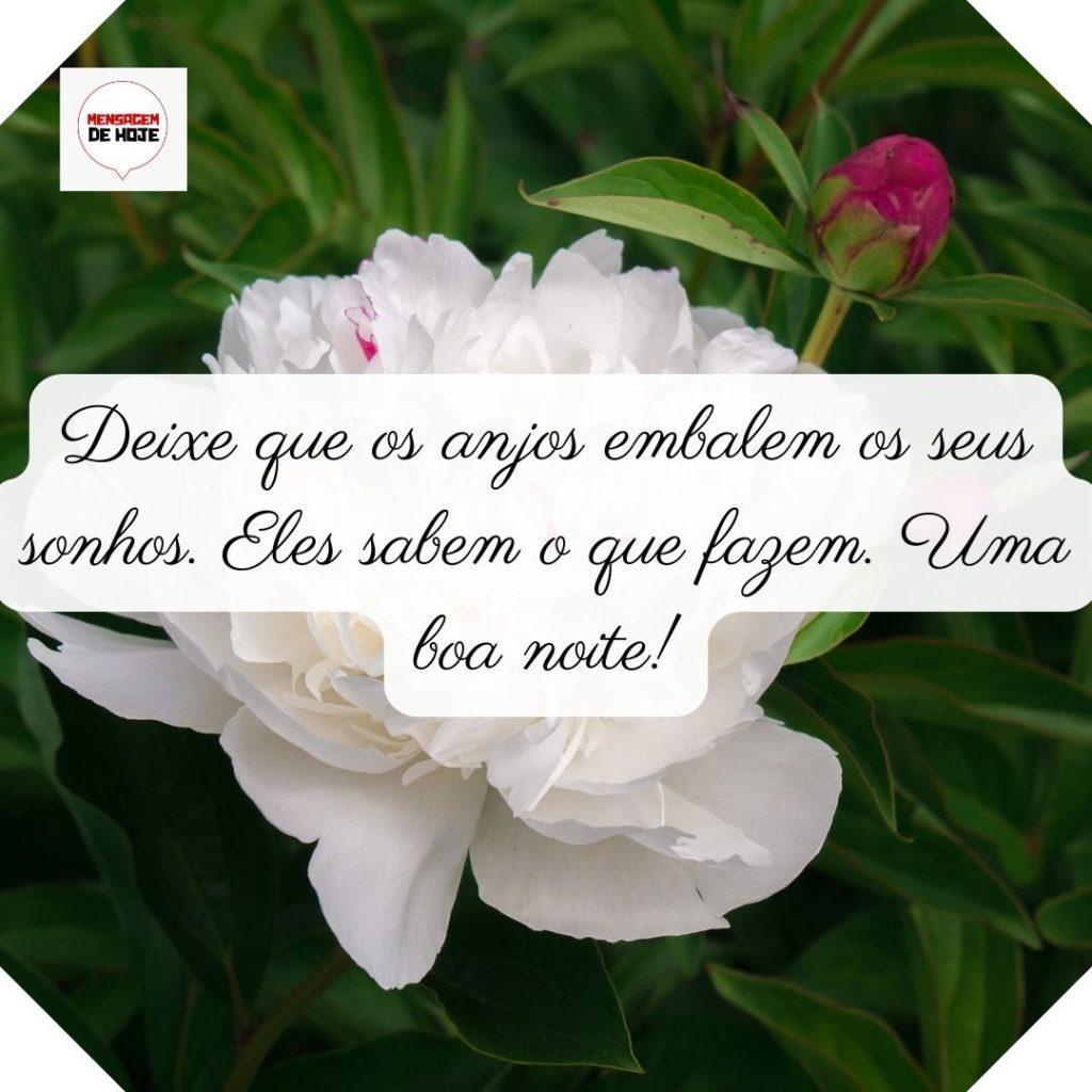 Boa Noite 25 de Junho de 2022 7