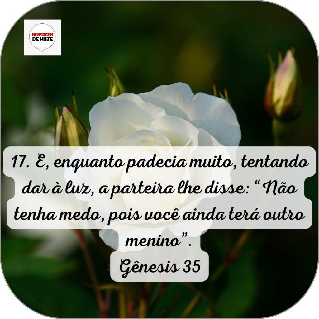 Salmos 13 de Junho de 2022 5