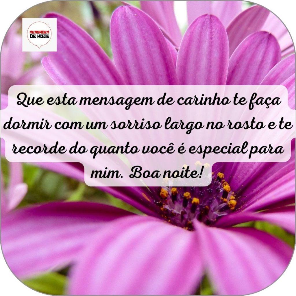 Boa Noite 14 de Junho de 2022 7