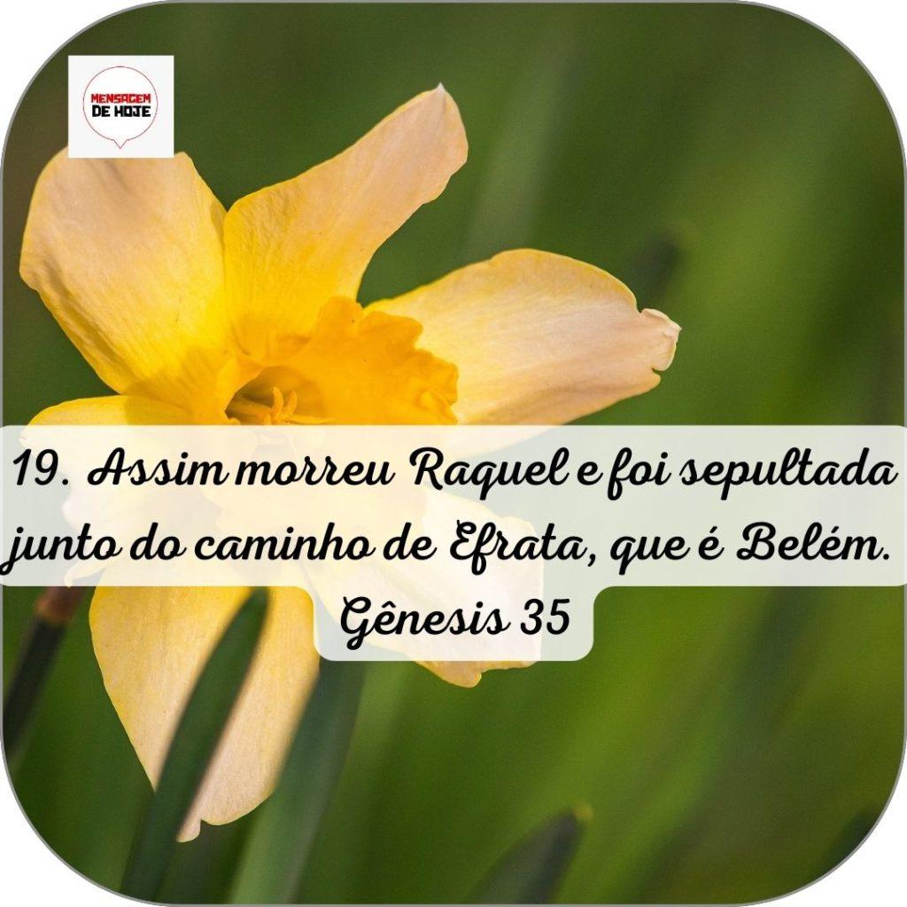 Salmos 13 de Junho de 2022 9