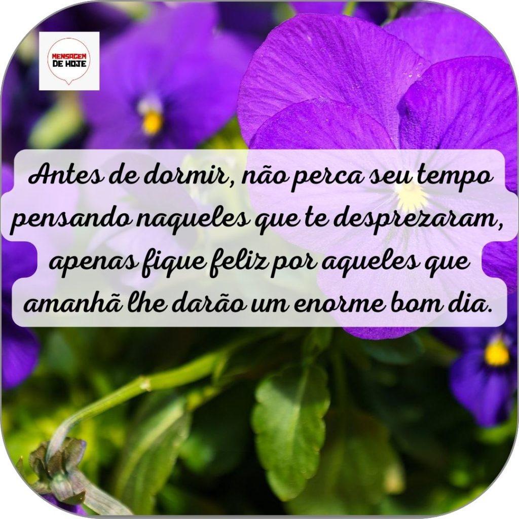 Boa Noite 14 de Junho de 2022 11
