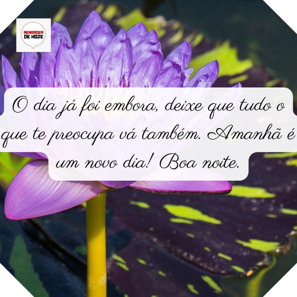 Boa Noite 25 de Junho de 2022 15