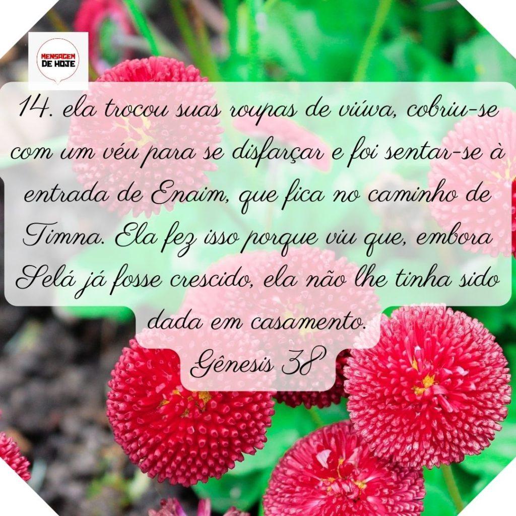Salmos 23 de Junho de 2022 1