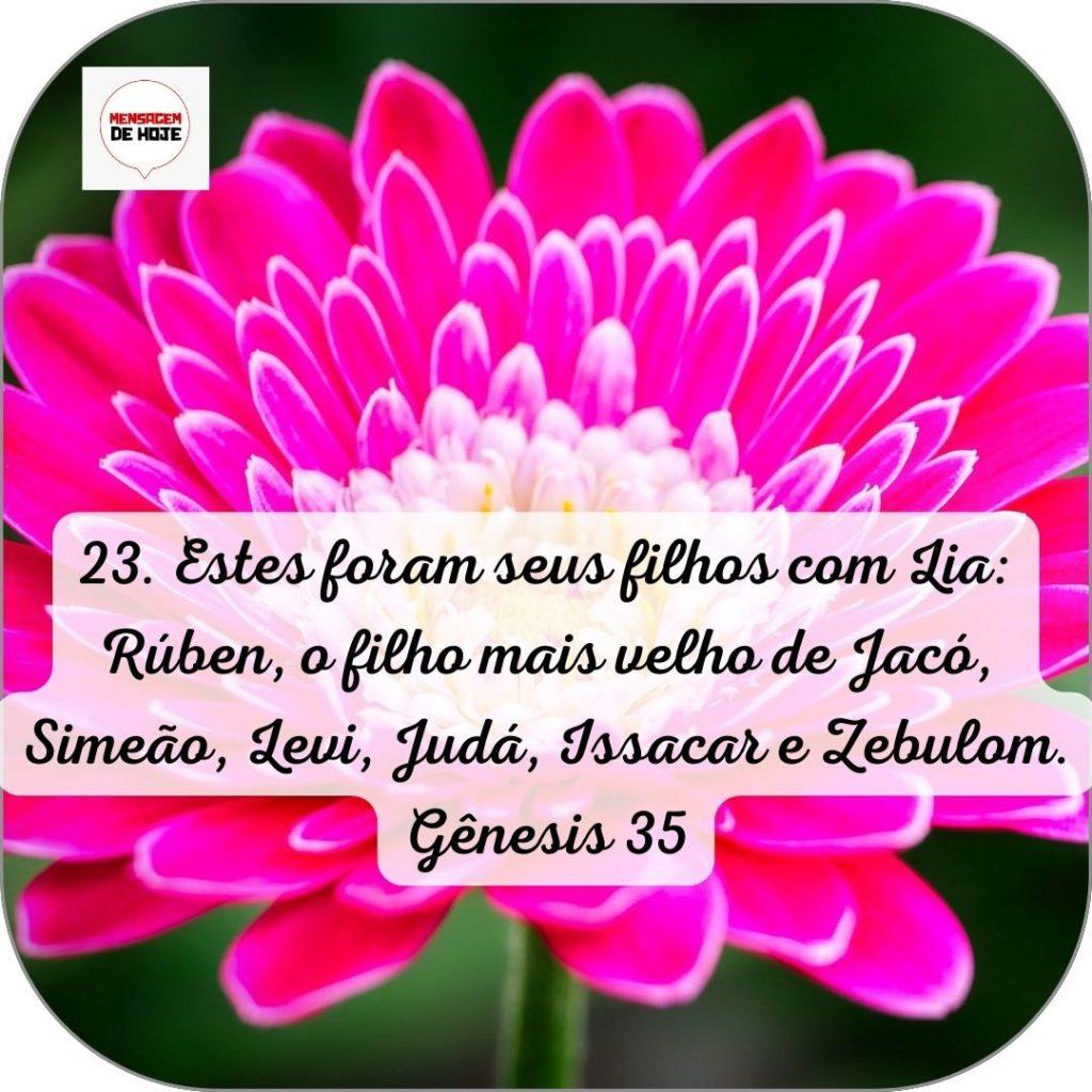 Salmos 13 de Junho de 2022 17
