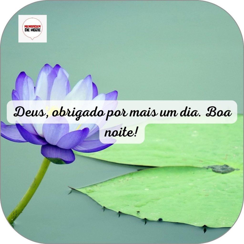 Boa Noite 10 de Junho de 2022 11