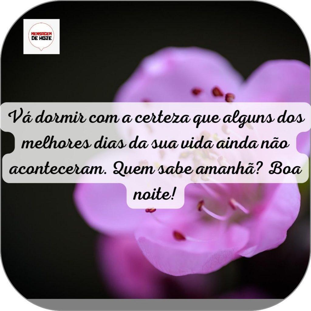 Boa Noite 14 de Junho de 2022 19