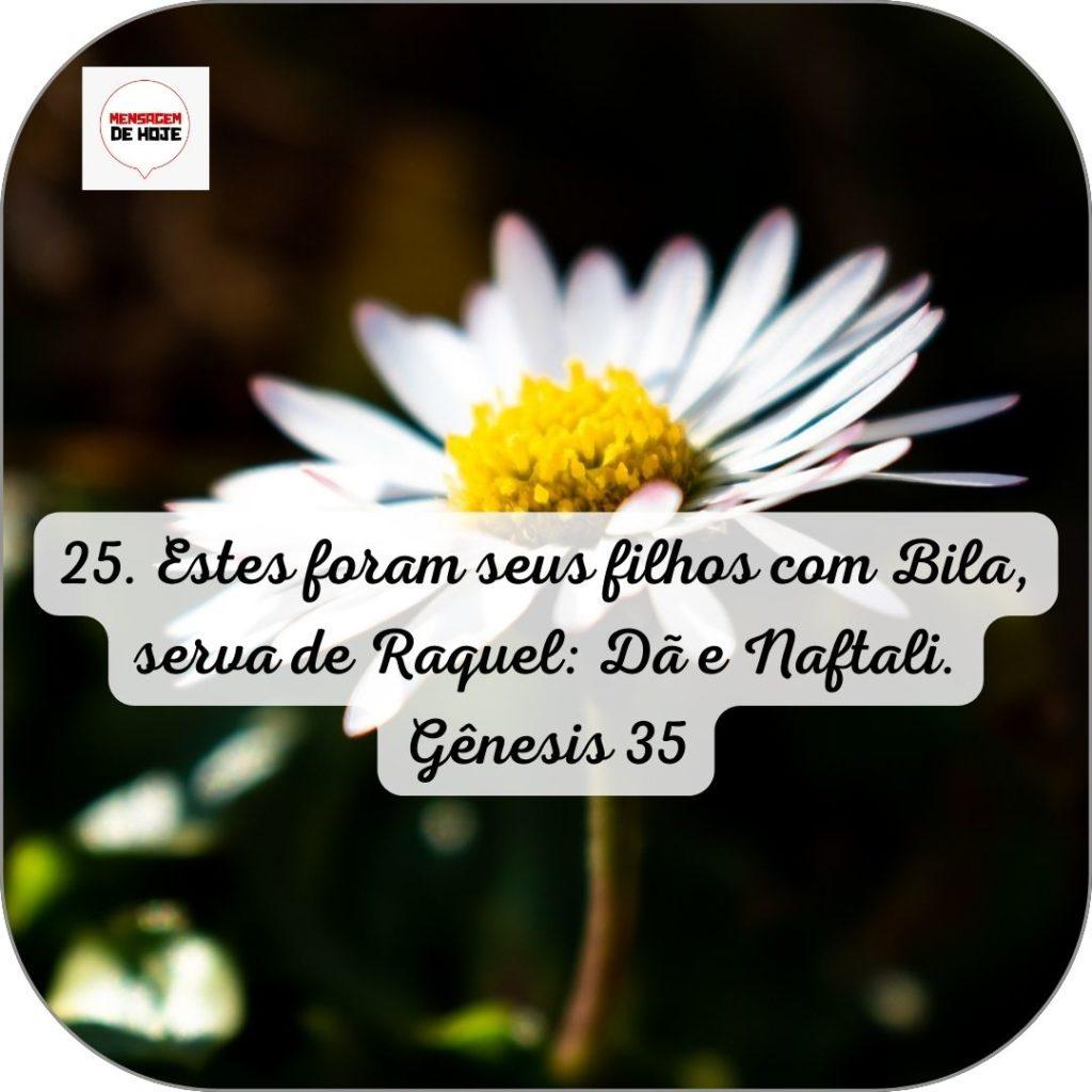 Salmos 14 de Junho de 2022 1