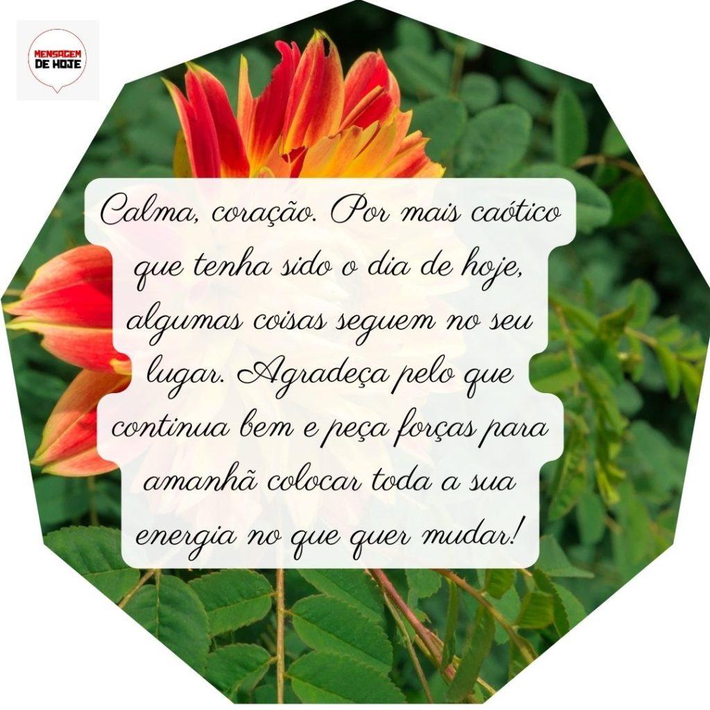 Boa Noite 30 de Junho de 2022 3