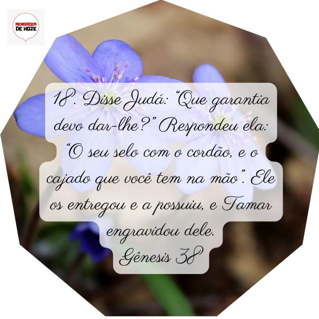 Salmos 24 de Junho de 2022 11