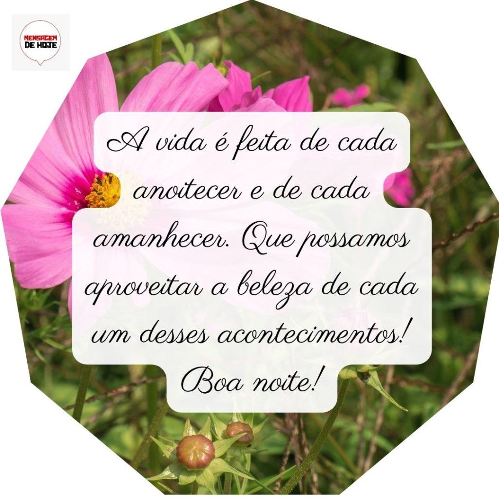 Boa Noite 30 de Junho de 2022 7