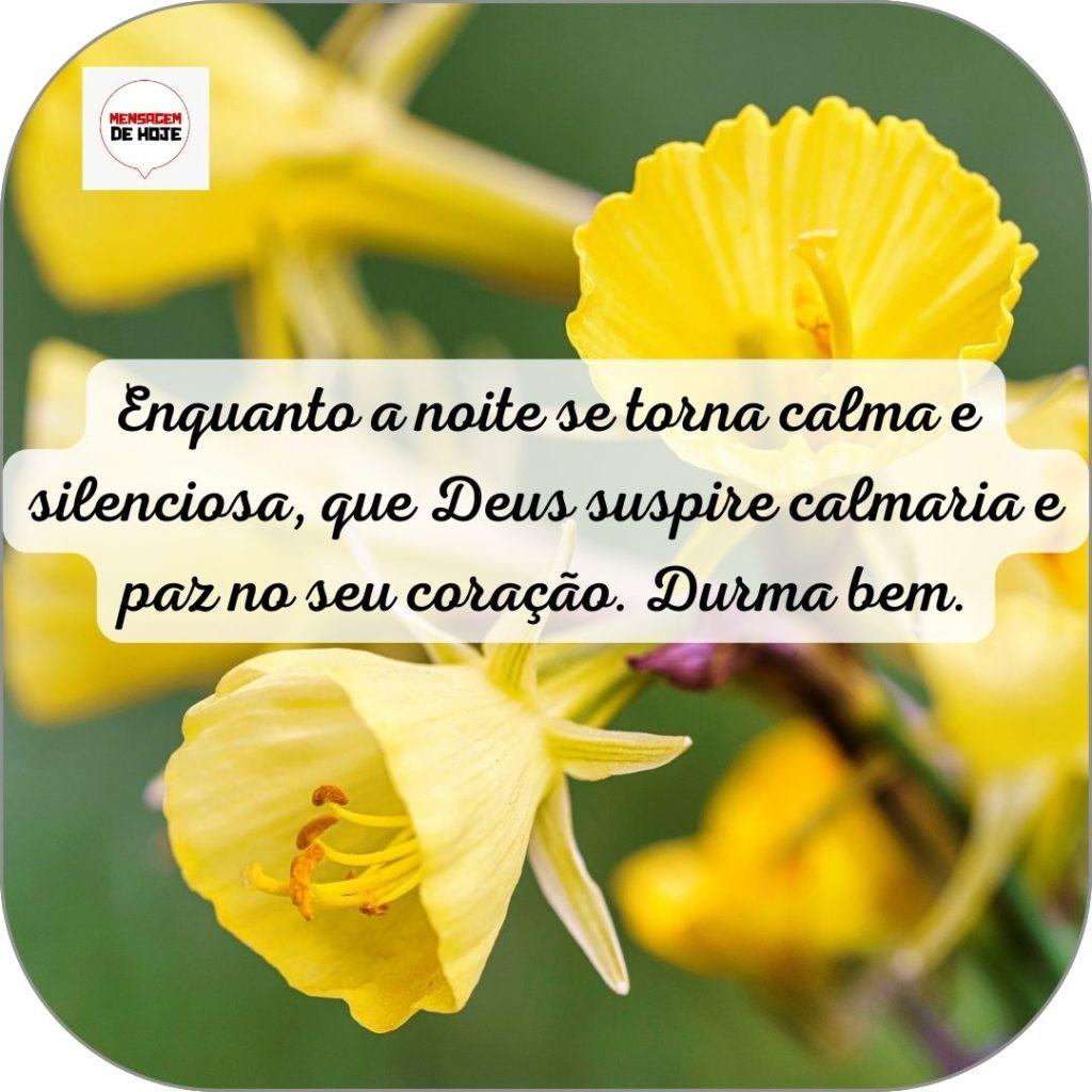 Boa Noite 16 de Junho de 2022 15