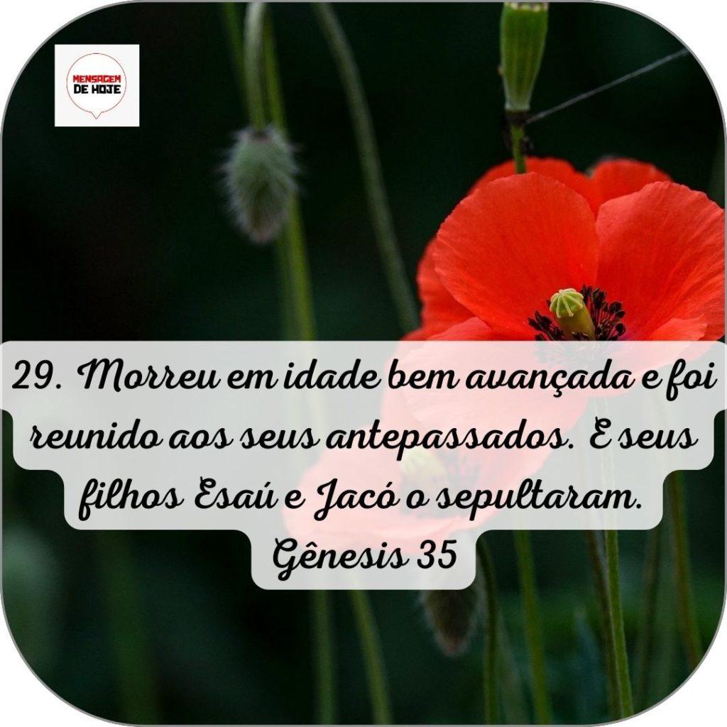 Salmos 14 de Junho de 2022 9