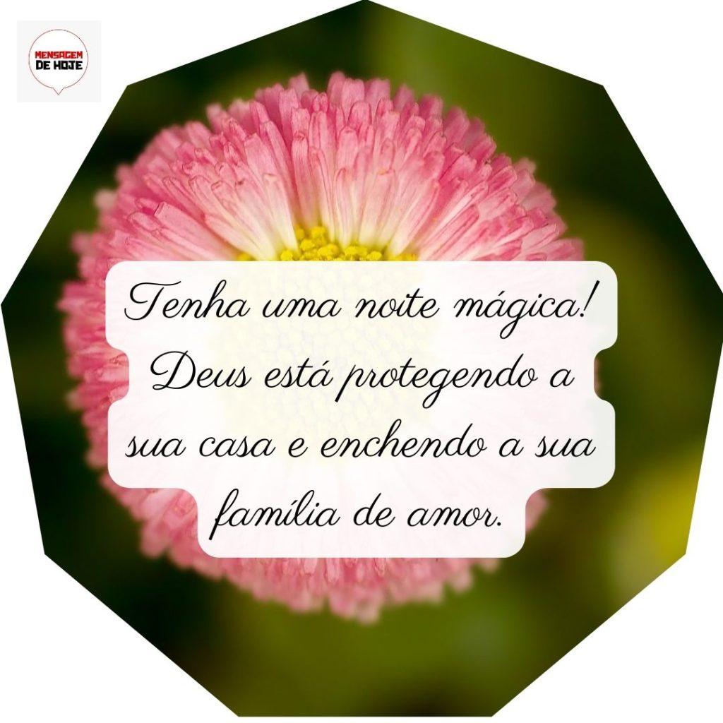 Boa Noite 30 de Junho de 2022 11