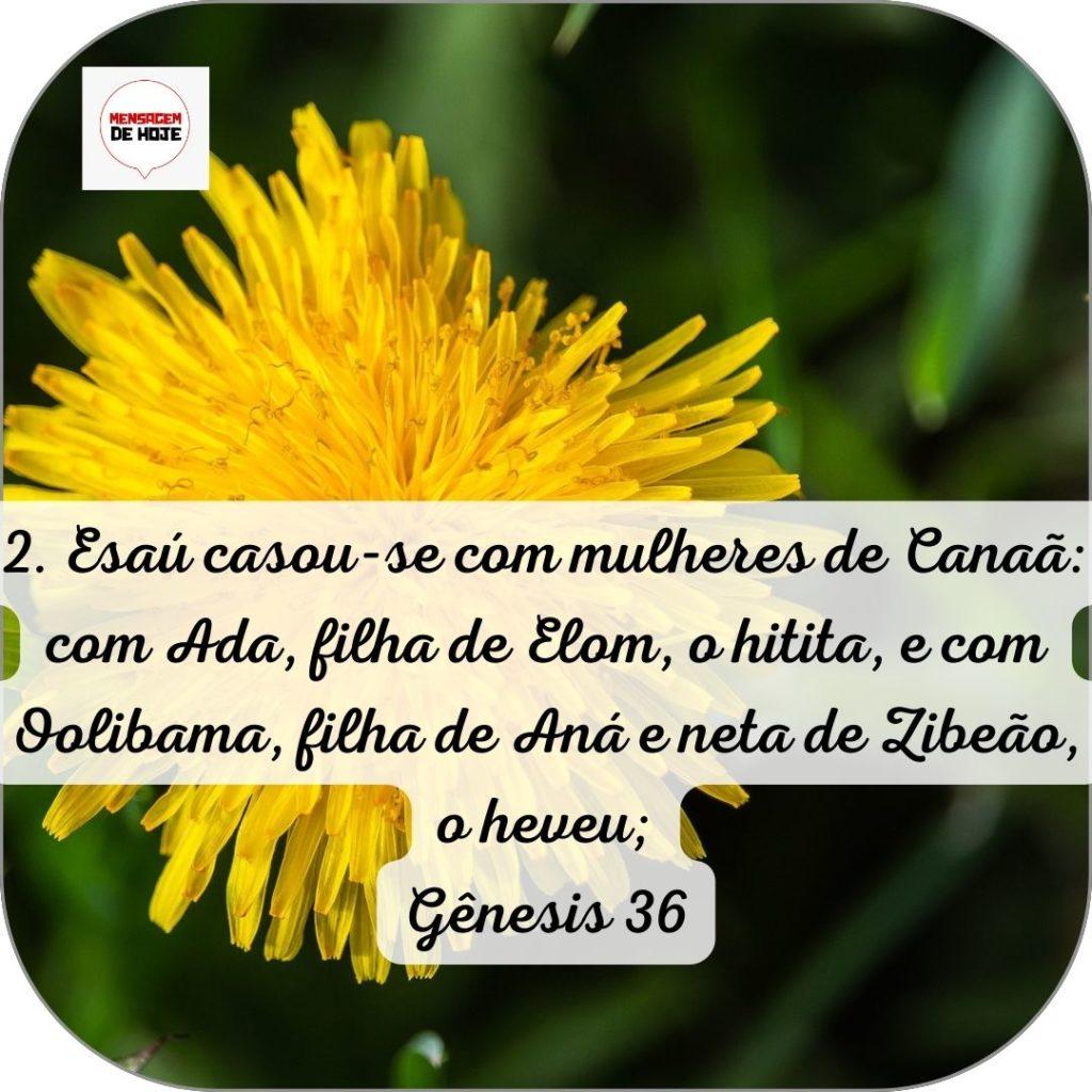 Salmos 14 de Junho de 2022 13