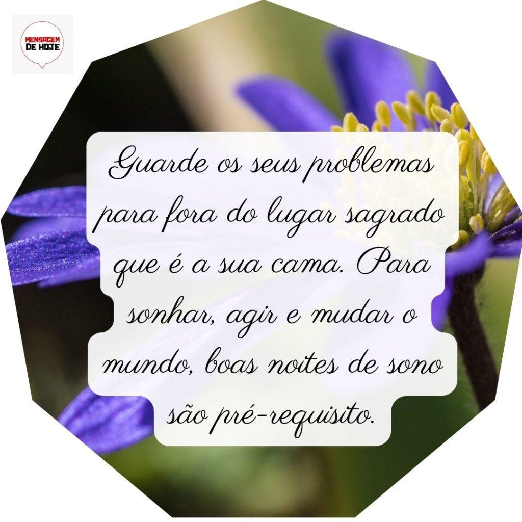 Boa Noite 30 de Junho de 2022 15