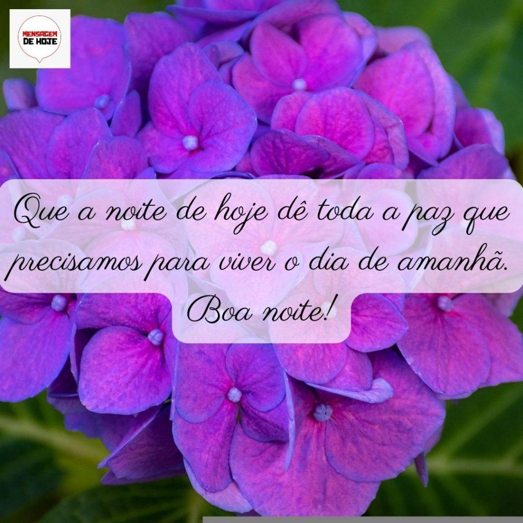 Boa Noite 08 de Junho de 2022 17
