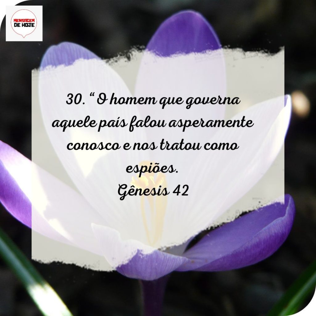 Salmos 05 de Julho de 2022 13