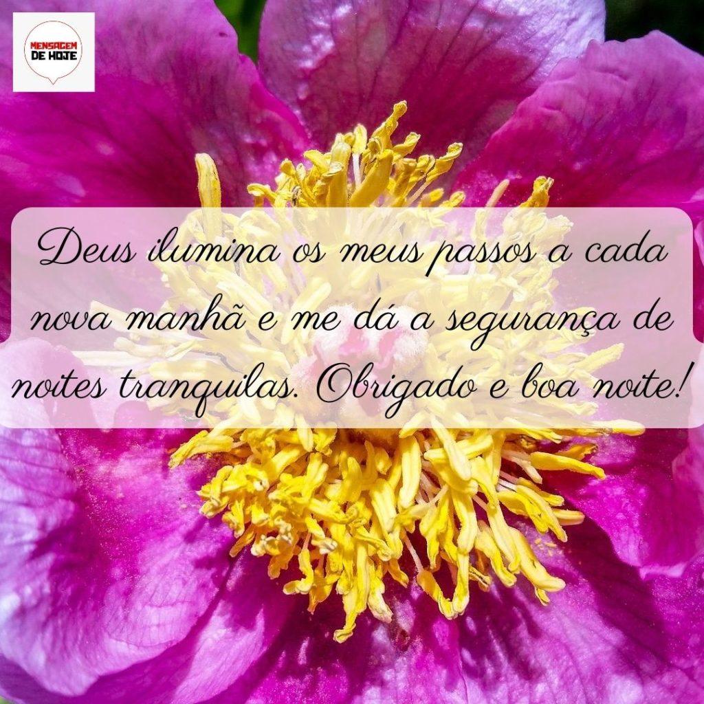 Boa Noite 09 de Junho de 2022 5