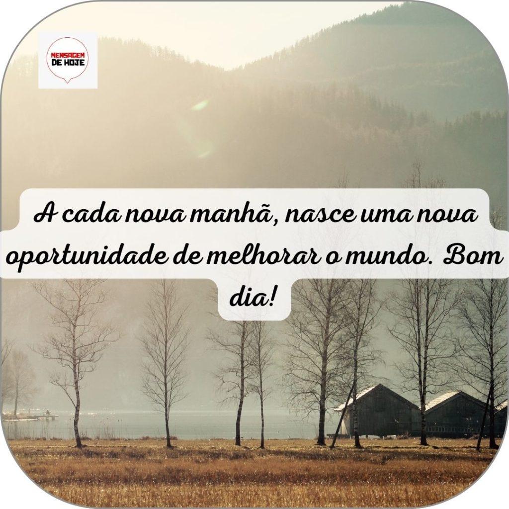 Bom Dia 15 de Junho de 2022 9