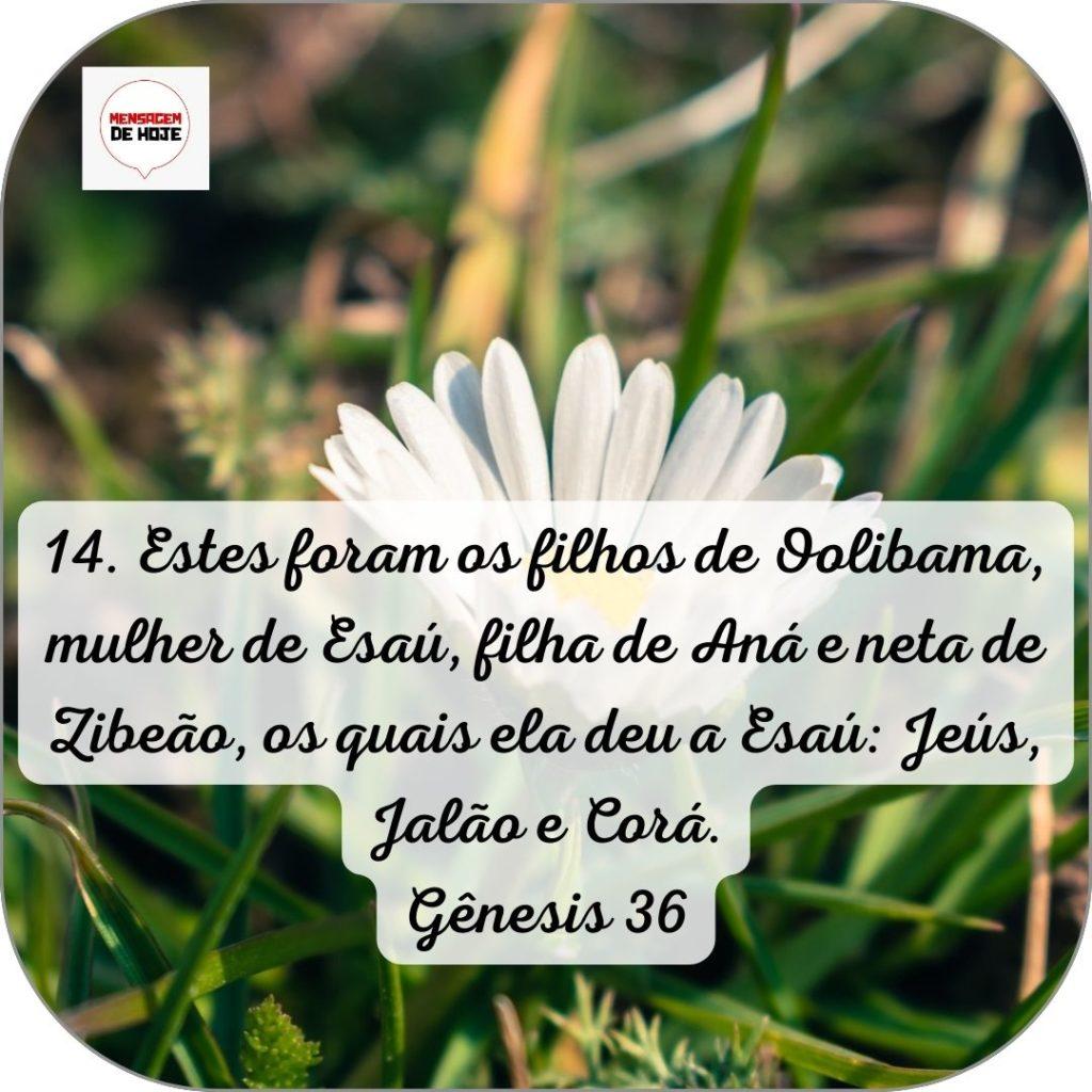 Salmos 15 de Junho de 2022 17