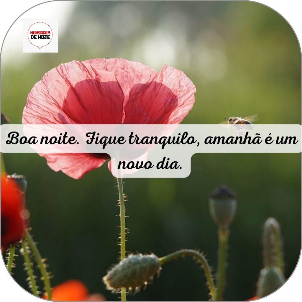 Boa Noite 10 de Junho de 2022 15