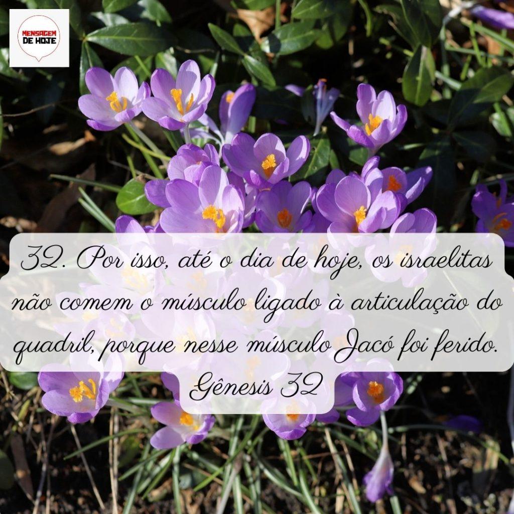 Salmos 10 de Junho de 2022 9