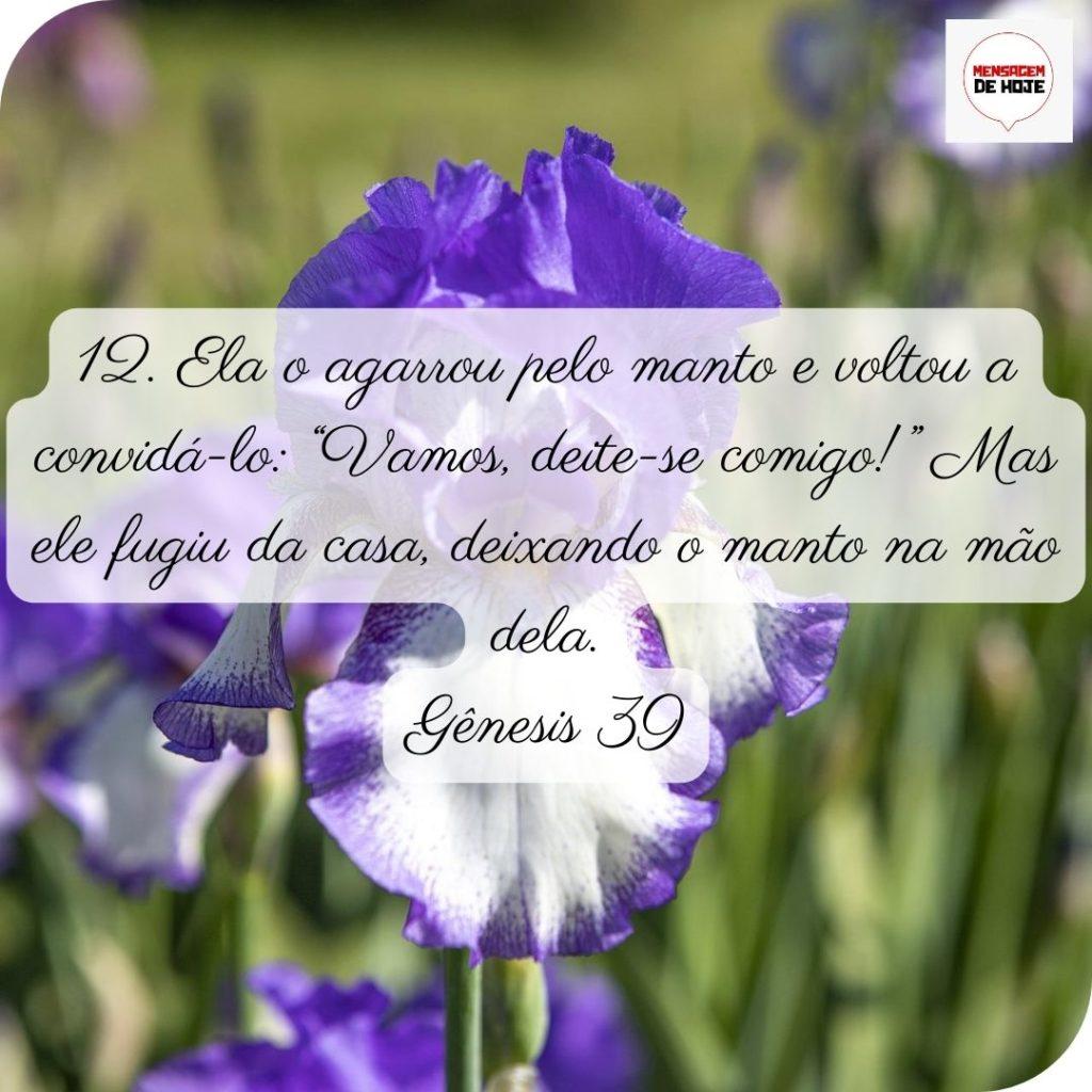 Salmos 26 de Junho de 2022 11