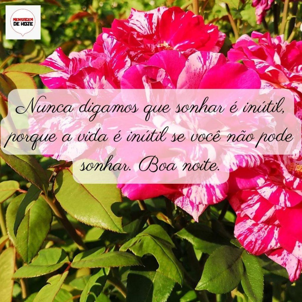 Boa Noite 07 de Junho de 2022 13